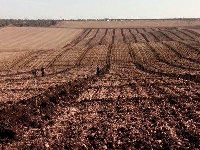 Cerea: Un nuevo GPS de autoguiado revoluciona el mundo agrícola