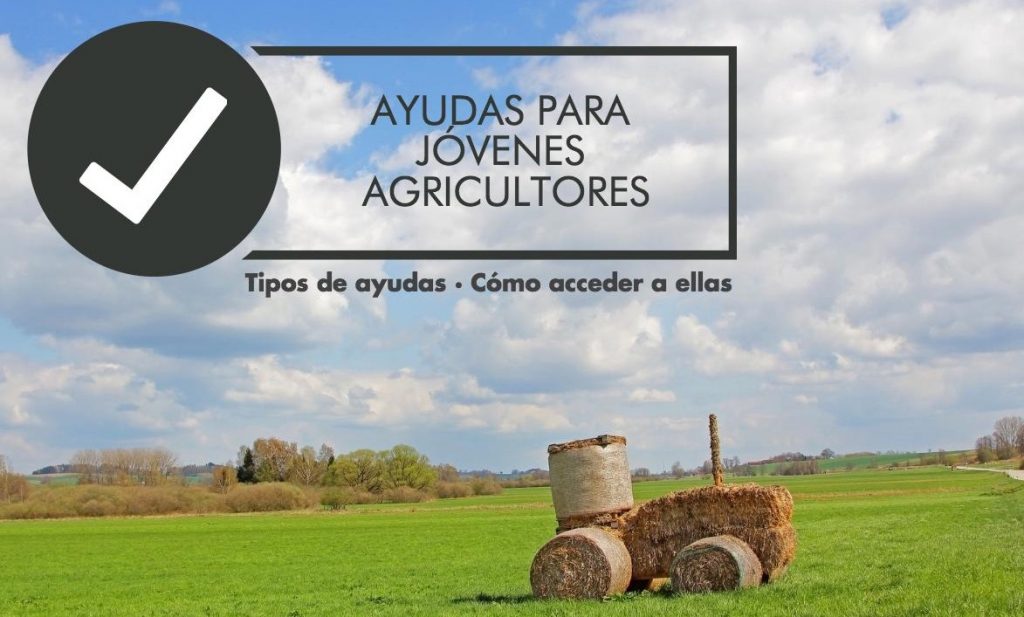 Ayudas a jóvenes agricultores: cuáles son y cómo solicitarlas