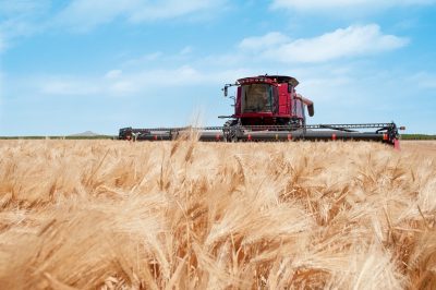 Apunta tus cosechas desde el campo