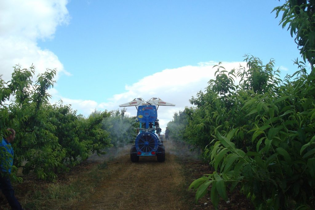 Cómo aplicar fitosanitarios a árboles frutales Cómo aplicar fitosanitarios a árboles frutales