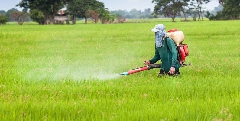 Tratamientos fitosanitarios preemergencia o postemergencia del cultivo para controlar malas hierbas