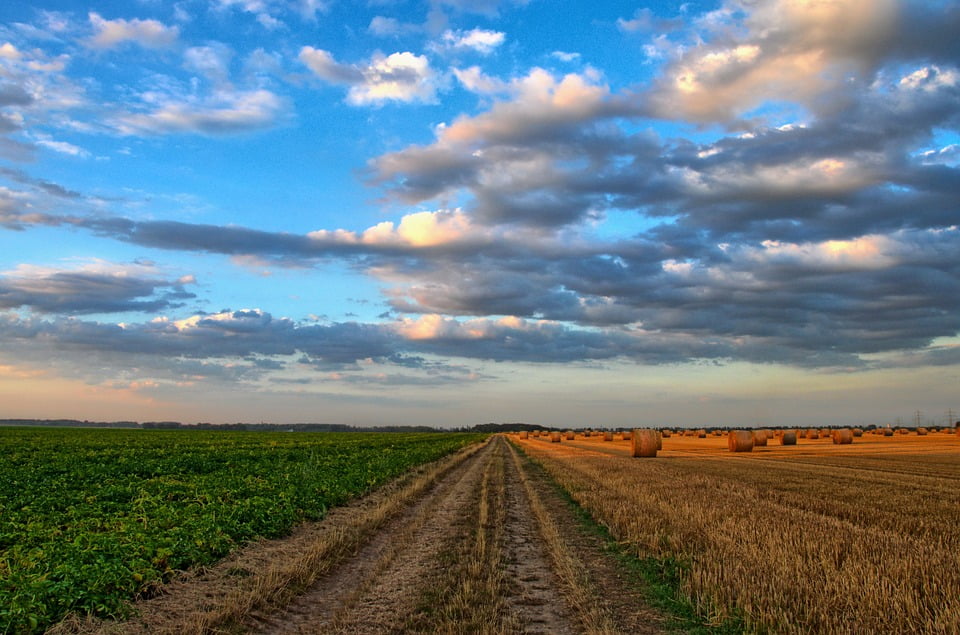 agricultura regenerativa