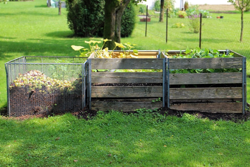 el camino de la agricultura ecológica