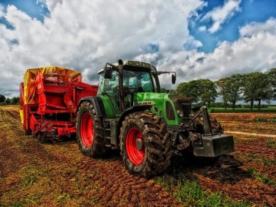 Agricultura Convencional