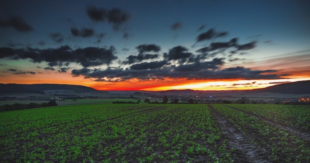 ¿Quieres saber que es la agricultura sensitiva? Te lo explicamos.