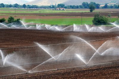 Descubre aquello que no sabías sobre el riego tecnificado