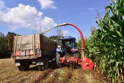 Lo que te falta por saber de la trituradora de ramas para tractor