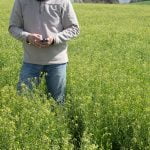 El cultivo de la camelina