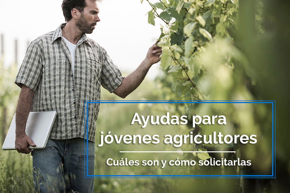 Ayudas para jóvenes agricultores 2017: cuáles son y cómo solicitarlas