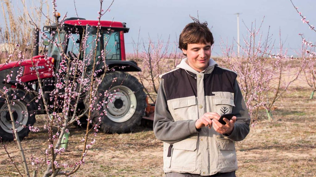 Sabes cómo Agroptima te ayudará en tu explotación de frutales?