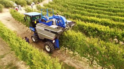 Agriculture intensive: définiton et gestion