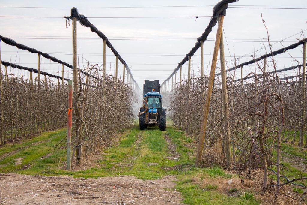 agricultura intensiva