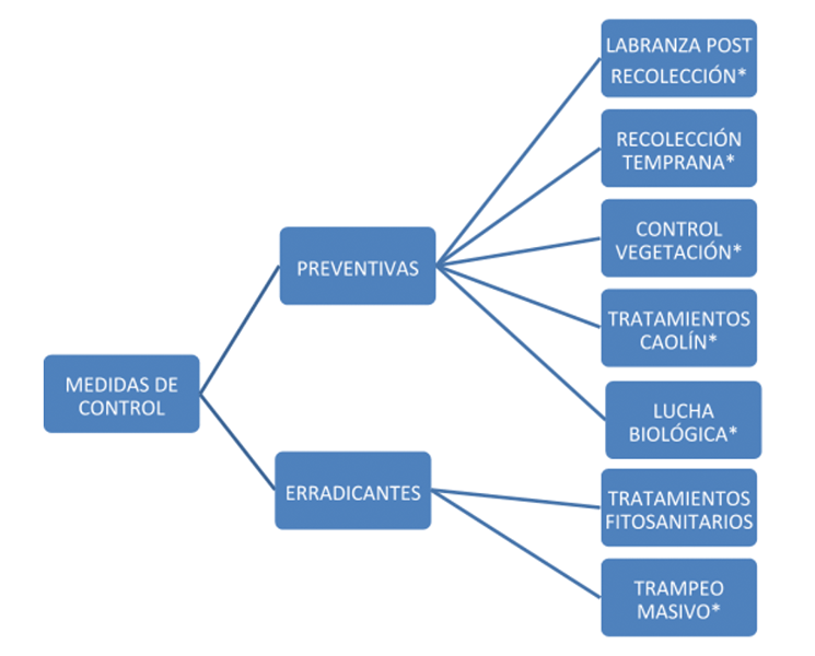 tratamientos-mosca-olivo