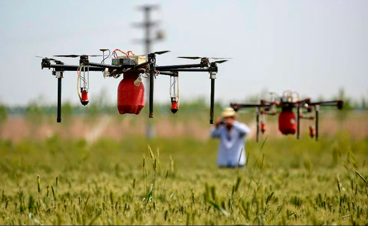 Aplicación de drones en la agricultura sale