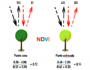 Imagenes multiespectrales agricultura facilitadas por un dron agricola