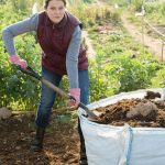 fertilizantes ecológicos