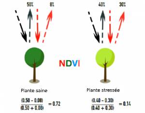  Images d'agriculture multispectrale fournies par un drone agricole