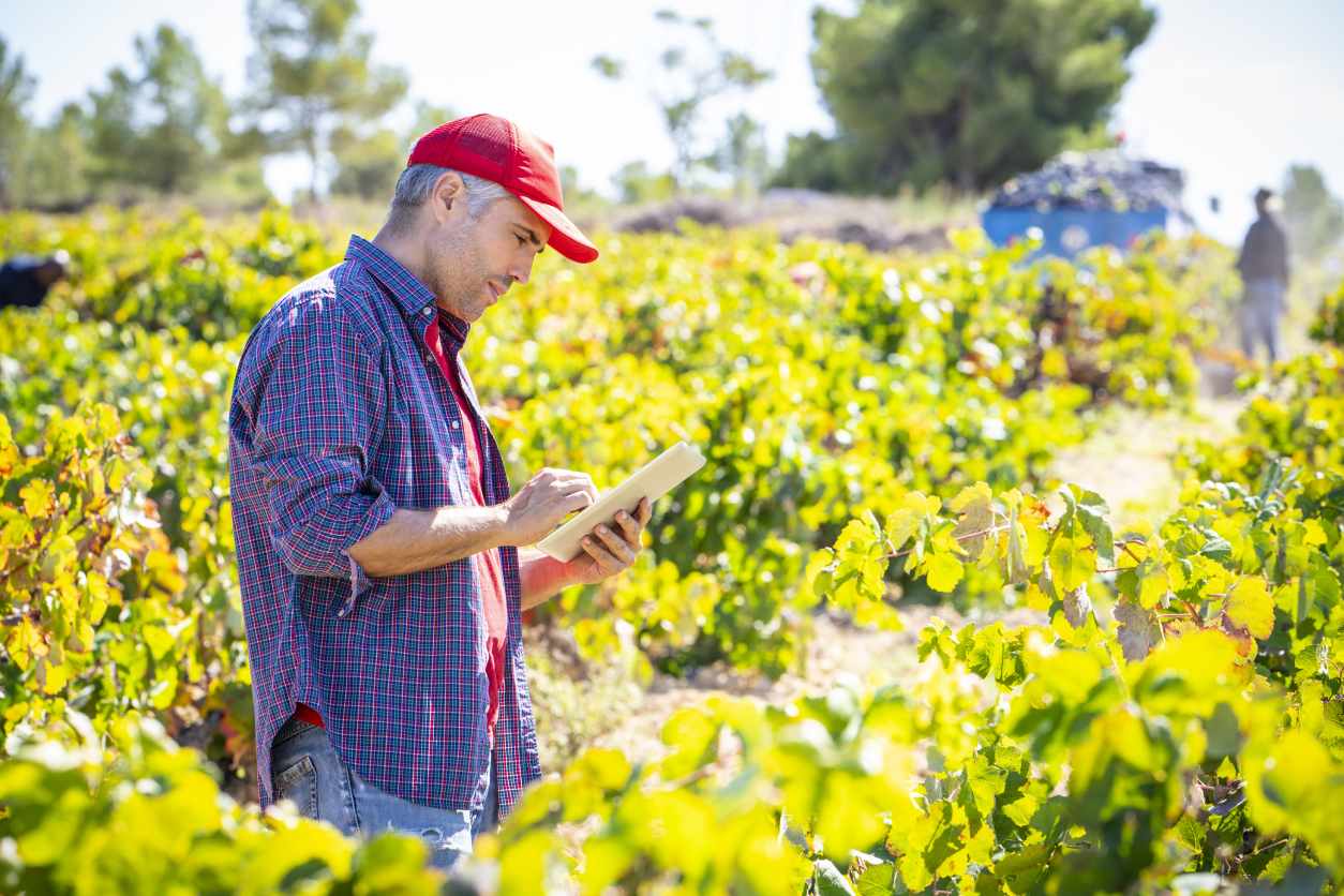 Aplicaciones agrícolas para el móvil con las que gestionar tu viñedo