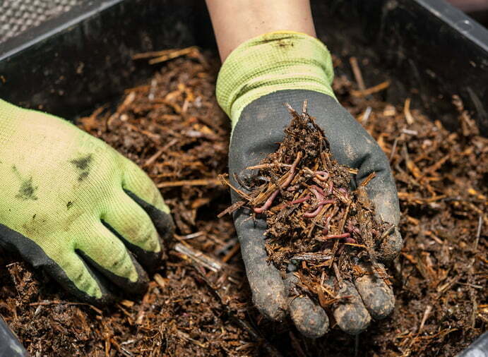 Los mejores fertilizantes ecológicos