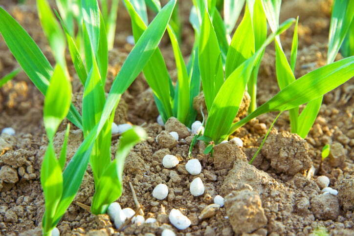 Abono orgánico granulado para una mejor fertilización