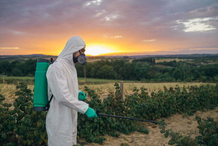 Herbicida sistémico: qué es, para qué sirve y cómo emplearlo