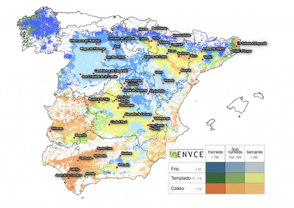 variedades de trigo mas productivas estudio genvce