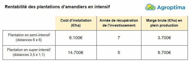 culture rentable à court terme: rentabilité des plantations d'amandiers en intensif