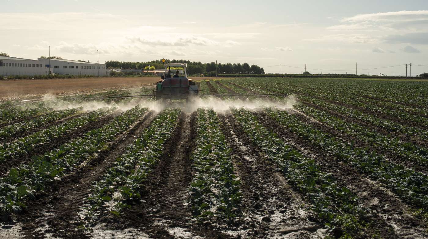 Herramientas para el aumento de la productividad agrícola