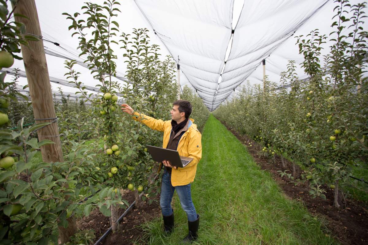 Agroptima, des bons de travail numériques pour que vous et votre équipe gagniez du temps