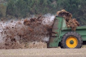 Principios de la sanidad vegetal: ecosistema