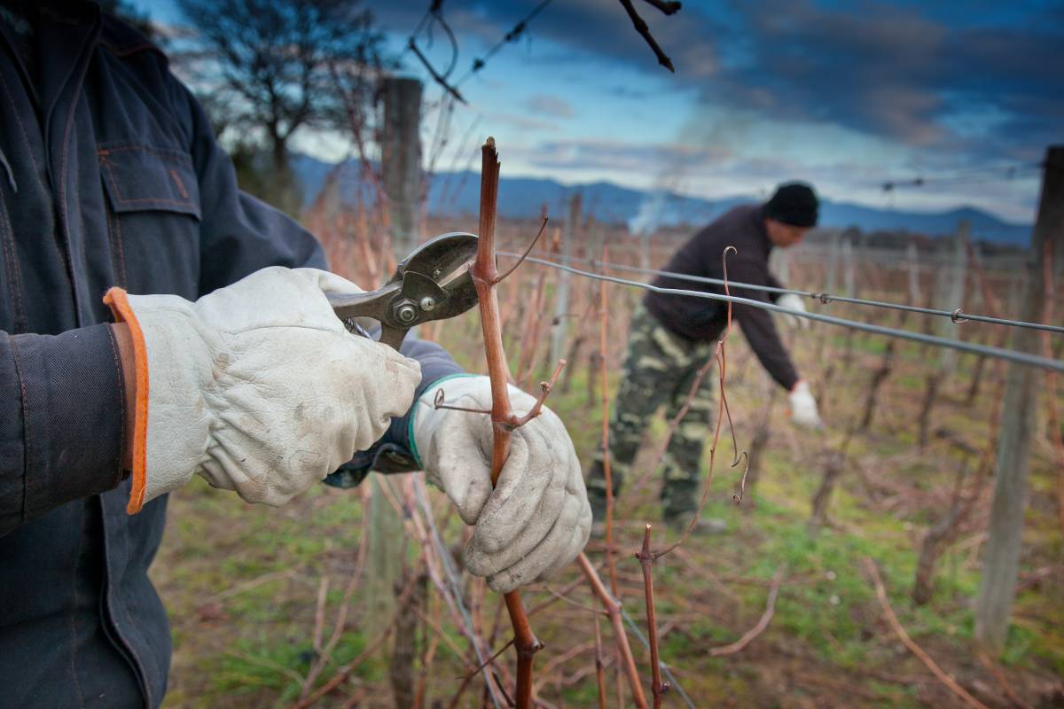 Comment calculer les coûts agricoles avec Agroptima