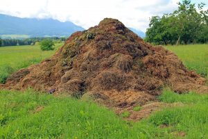 residuos agrícolas compostables