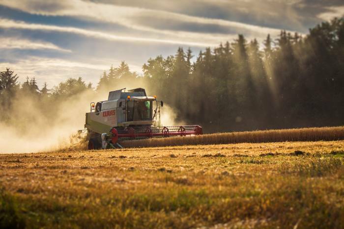 arable crops