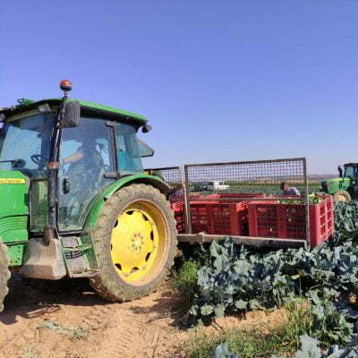 Fontellas. Navarra, Spain
