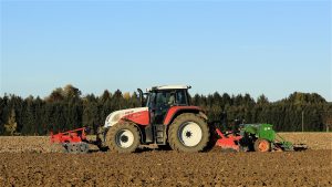 falsa siembra en el cultivo de espelta ecológica