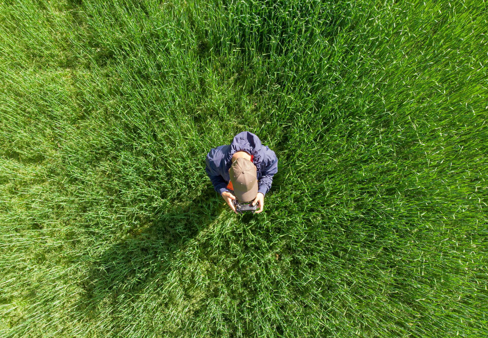 Mejoras de la inteligencia artificial en la agricultura