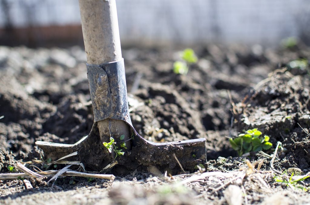 trabajo mínimo del suelo en la huerta orgánica intensiva