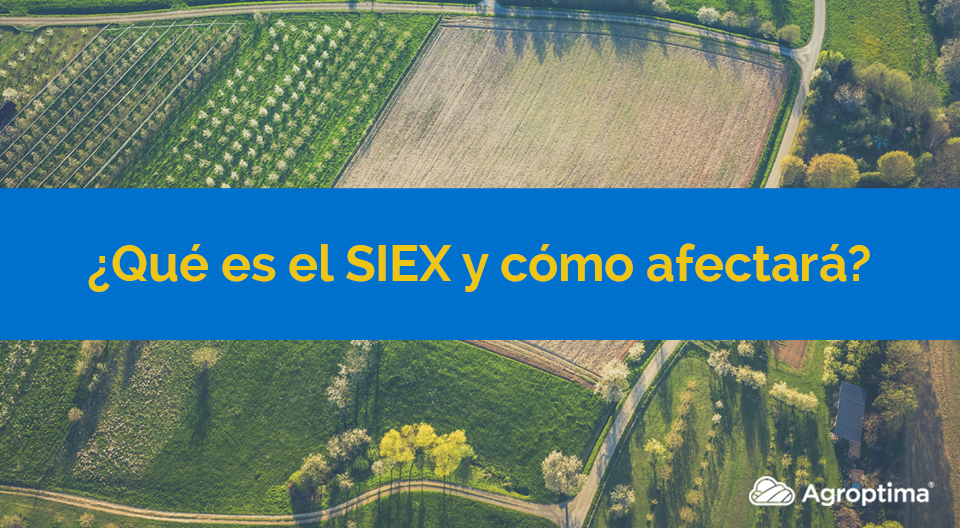 Conceptos claves en la nueva ley: REA, CUE y SIEX