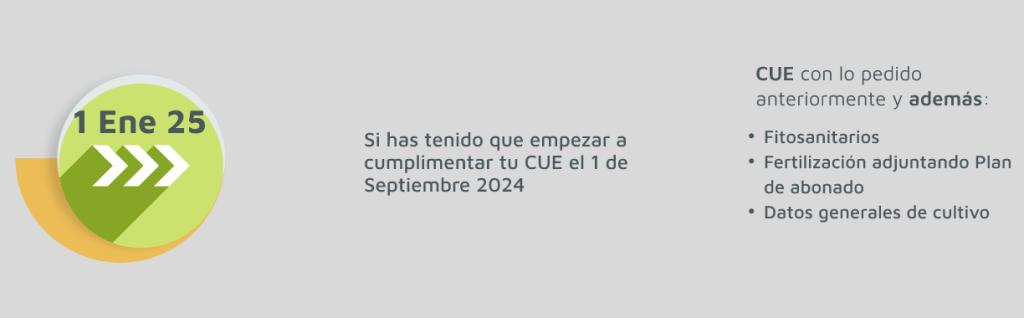 CUE Enero 2025