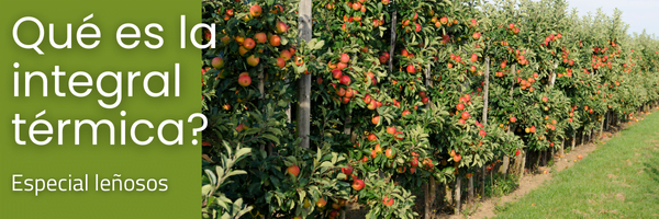 ¿Qué es la integral térmica en agricultura?